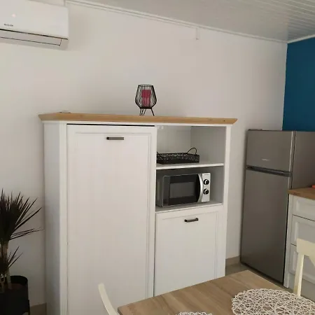 Danica ריסיקה